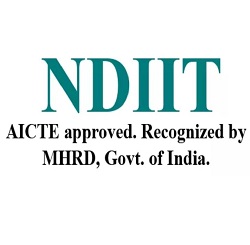 New Delhi Institute for Information Technology and Management (NDIIT)