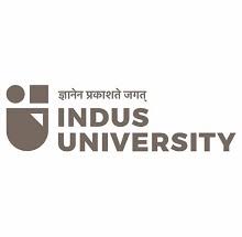 Indus University